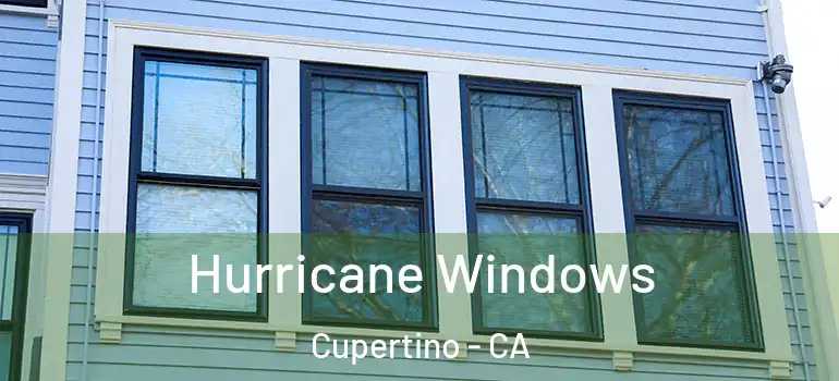  Hurricane Windows Cupertino - CA