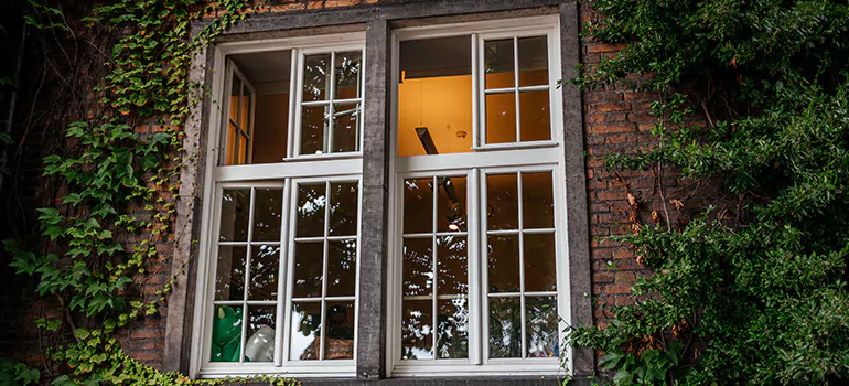 Energy Efficient Wood Windows in Cupertino, CA