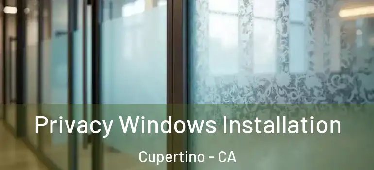  Privacy Windows Installation Cupertino - CA