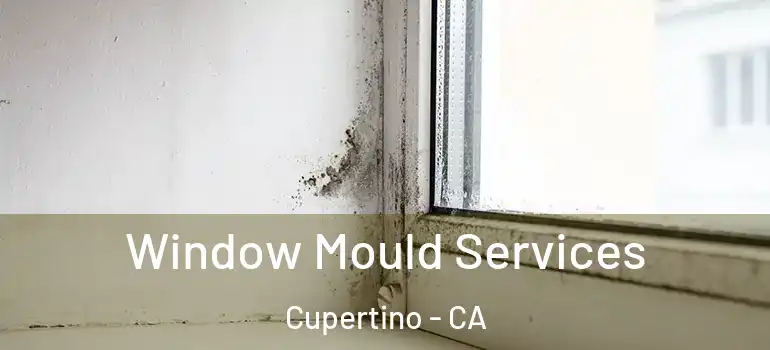  Window Mould Services Cupertino - CA